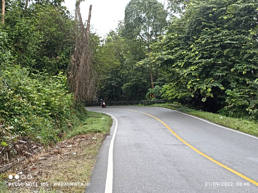 Jalan Tahura Suharto yang lengang semenjak hadir Jalan Tol yang membelah kawasan Tahura Suharto I Dokpri