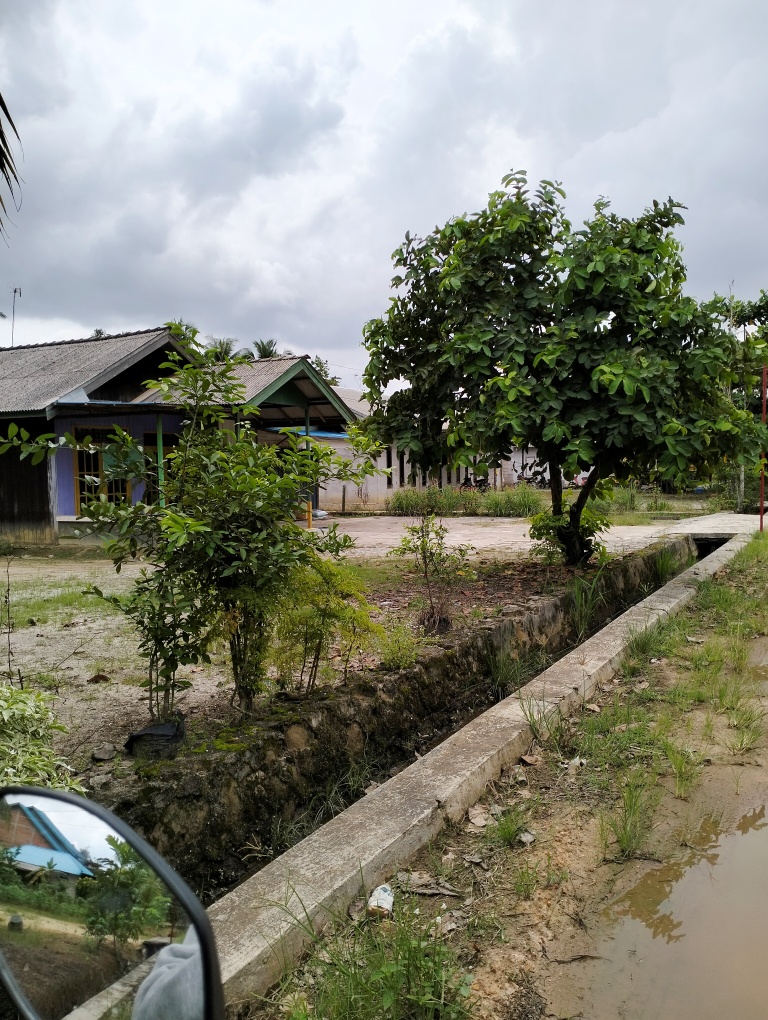 Pemandangan halaman rumah warga Sidomulyo merawat aneka bibit pohon I Dokpri