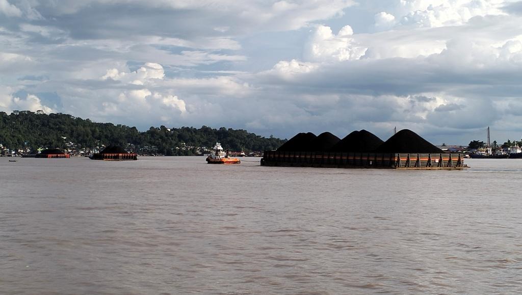 Puluhan Ponton mengirimkan batubara ke muara sungai Mahakam I PHOTO; EASTBORNEO.MY.ID